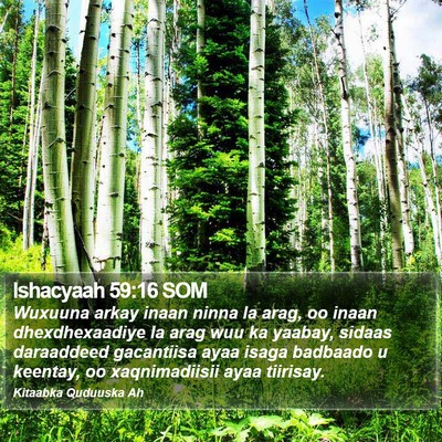 Ishacyaah 59:16 SOM Bible Verse Image