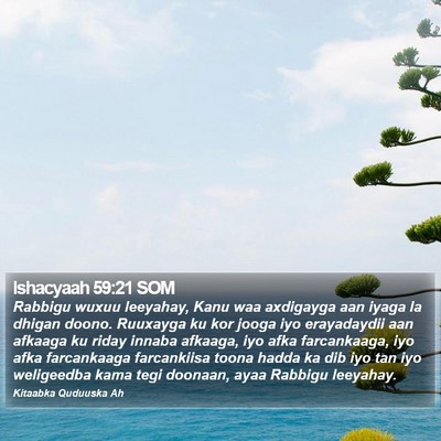 Ishacyaah 59:21 SOM Bible Verse Image