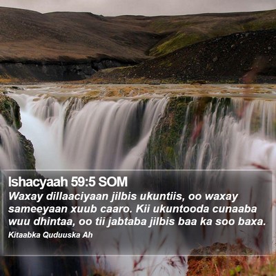 Ishacyaah 59:5 SOM Bible Verse Image