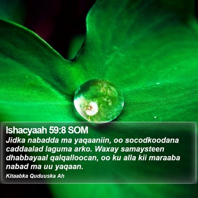 Ishacyaah 59:8 SOM Bible Verse Image