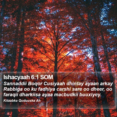 Ishacyaah 6:1 SOM Bible Verse Image