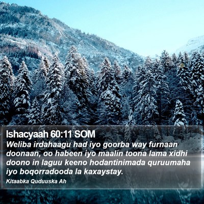 Ishacyaah 60:11 SOM Bible Verse Image