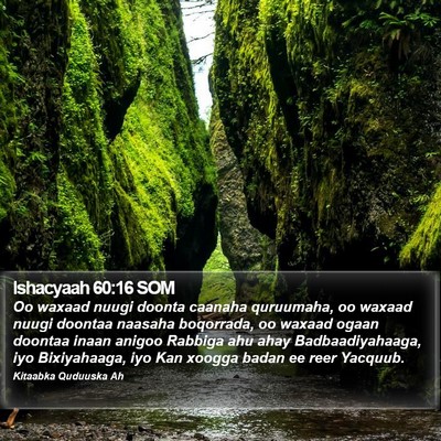 Ishacyaah 60:16 SOM Bible Verse Image