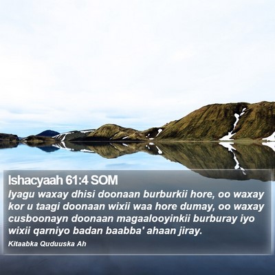 Ishacyaah 61:4 SOM Bible Verse Image