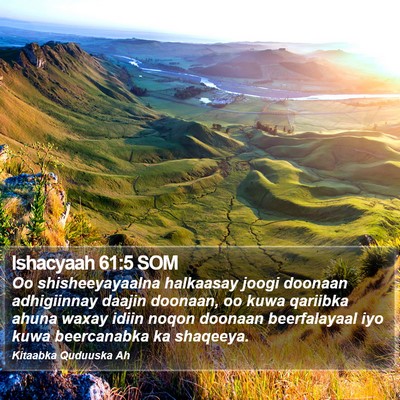 Ishacyaah 61:5 SOM Bible Verse Image