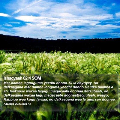 Ishacyaah 62:4 SOM Bible Verse Image
