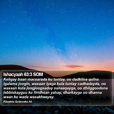 Ishacyaah 63:3 SOM Bible Verse Image