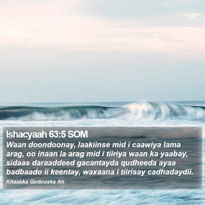 Ishacyaah 63:5 SOM Bible Verse Image