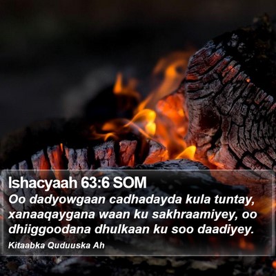 Ishacyaah 63:6 SOM Bible Verse Image