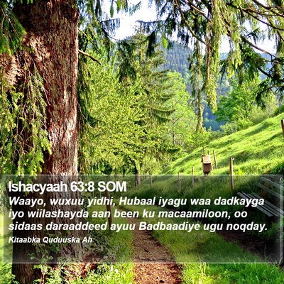 Ishacyaah 63:8 SOM Bible Verse Image