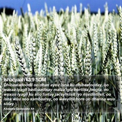 Ishacyaah 63:9 SOM Bible Verse Image