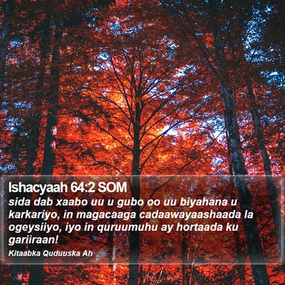 Ishacyaah 64:2 SOM Bible Verse Image