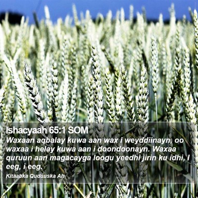 Ishacyaah 65:1 SOM Bible Verse Image