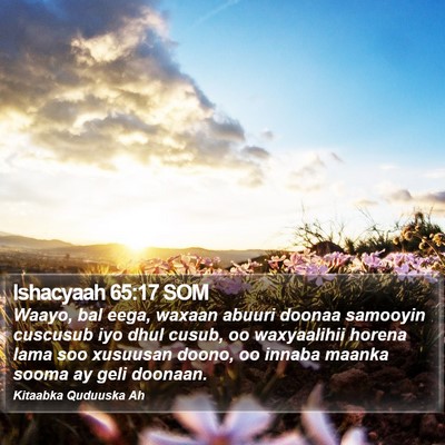 Ishacyaah 65:17 SOM Bible Verse Image