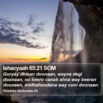 Ishacyaah 65:21 SOM Bible Verse Image