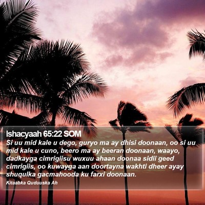 Ishacyaah 65:22 SOM Bible Verse Image