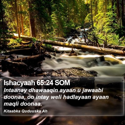 Ishacyaah 65:24 SOM Bible Verse Image