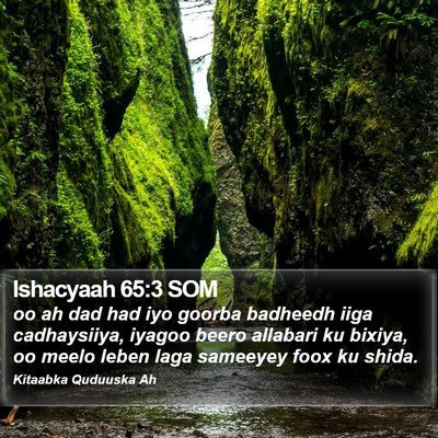 Ishacyaah 65:3 SOM Bible Verse Image