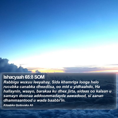 Ishacyaah 65:8 SOM Bible Verse Image