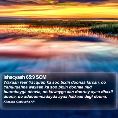 Ishacyaah 65:9 SOM Bible Verse Image