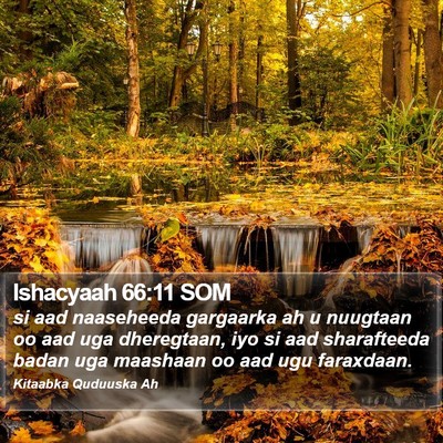 Ishacyaah 66:11 SOM Bible Verse Image
