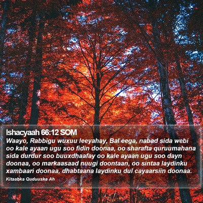 Ishacyaah 66:12 SOM Bible Verse Image