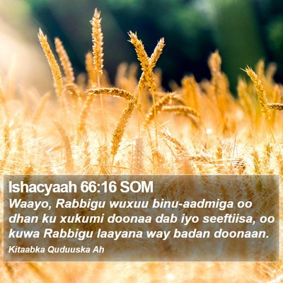 Ishacyaah 66:16 SOM Bible Verse Image