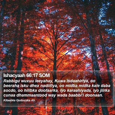 Ishacyaah 66:17 SOM Bible Verse Image