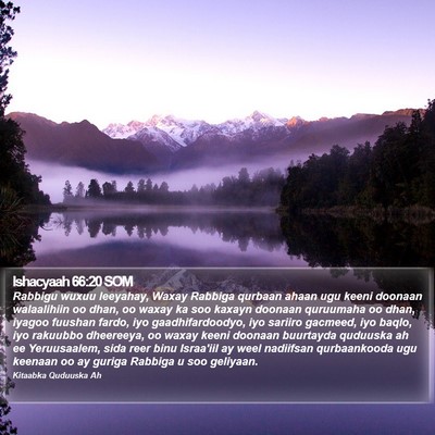 Ishacyaah 66:20 SOM Bible Verse Image