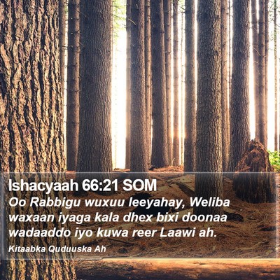 Ishacyaah 66:21 SOM Bible Verse Image