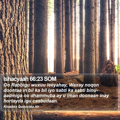 Ishacyaah 66:23 SOM Bible Verse Image