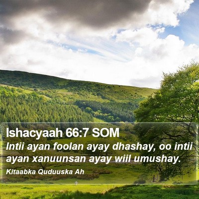Ishacyaah 66:7 SOM Bible Verse Image