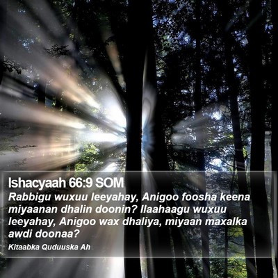 Ishacyaah 66:9 SOM Bible Verse Image