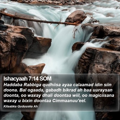 Ishacyaah 7:14 SOM Bible Verse Image