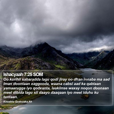 Ishacyaah 7:25 SOM Bible Verse Image