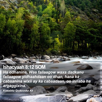 Ishacyaah 8:12 SOM Bible Verse Image