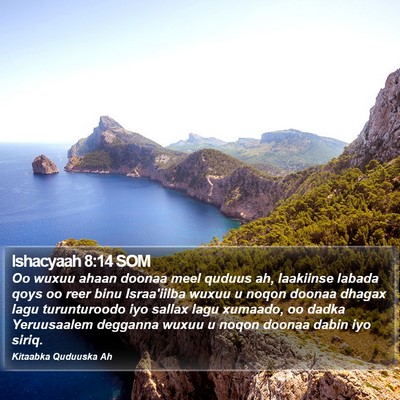 Ishacyaah 8:14 SOM Bible Verse Image