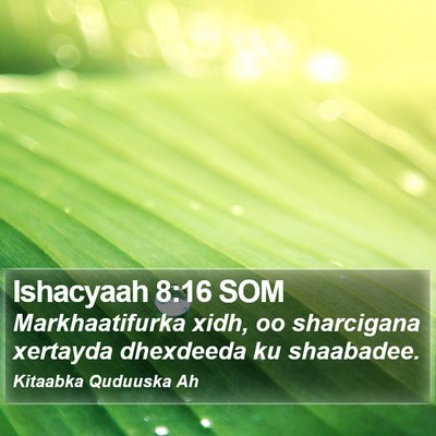 Ishacyaah 8:16 SOM Bible Verse Image