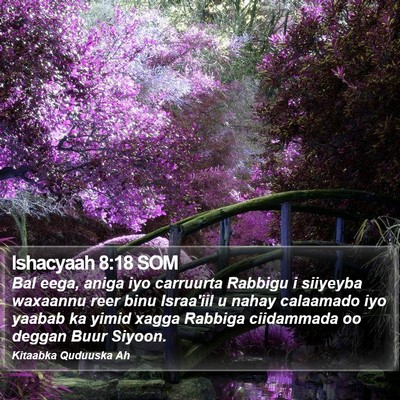 Ishacyaah 8:18 SOM Bible Verse Image