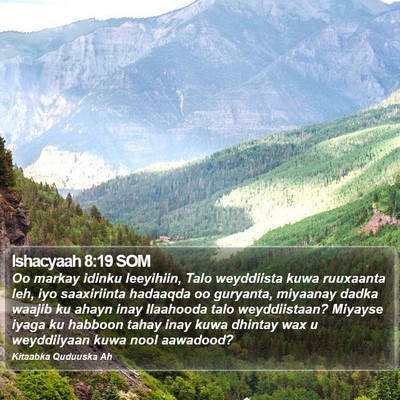 Ishacyaah 8:19 SOM Bible Verse Image
