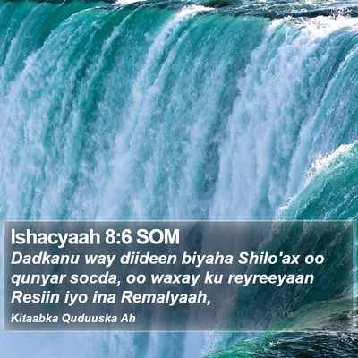 Ishacyaah 8:6 SOM Bible Verse Image