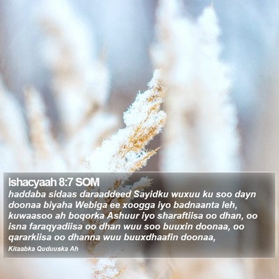 Ishacyaah 8:7 SOM Bible Verse Image