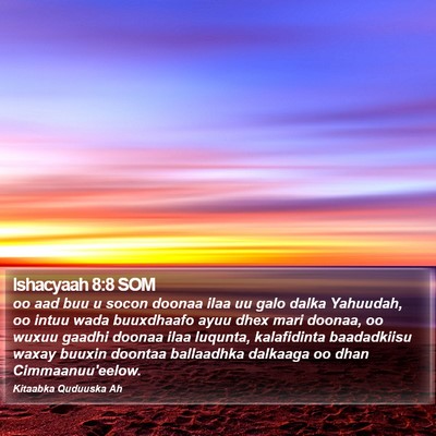 Ishacyaah 8:8 SOM Bible Verse Image
