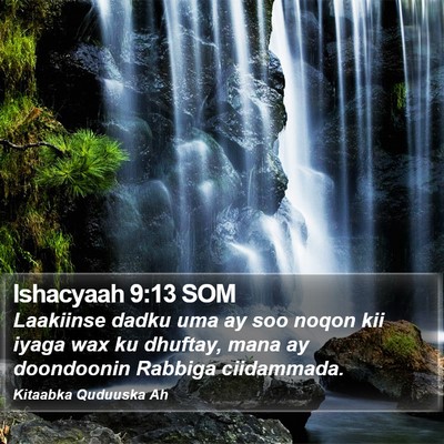 Ishacyaah 9:13 SOM Bible Verse Image