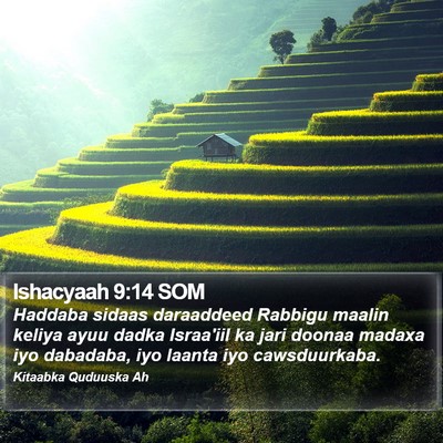 Ishacyaah 9:14 SOM Bible Verse Image