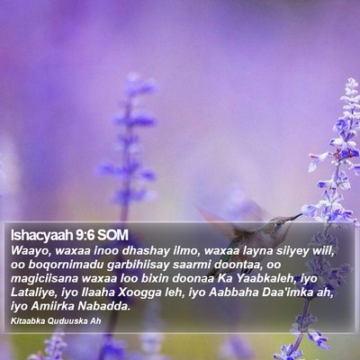Ishacyaah 9:6 SOM Bible Verse Image