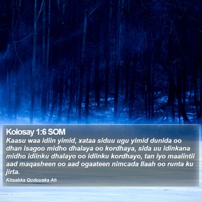 Kolosay 1:6 SOM Bible Verse Image