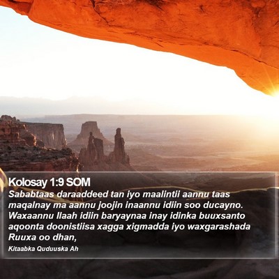Kolosay 1:9 SOM Bible Verse Image