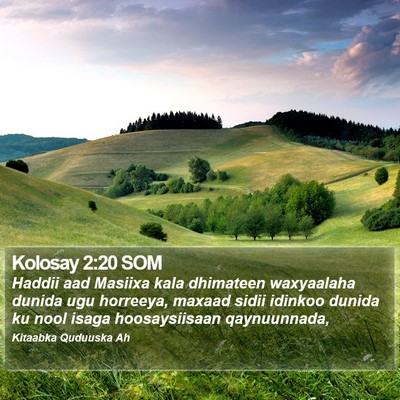 Kolosay 2:20 SOM Bible Verse Image