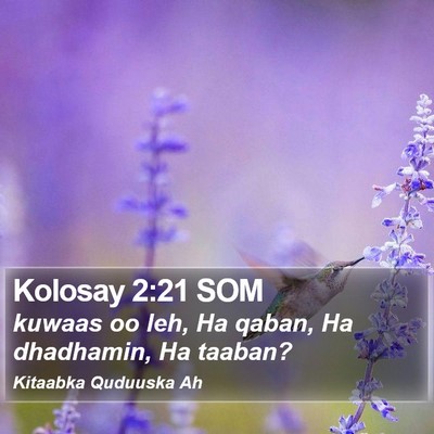 Kolosay 2:21 SOM Bible Verse Image